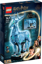 76414 LEGO® Harry Potter™ Sauces aizstāvum, 14+ gadi, 2023 gada modelis