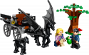# 76400 LEGO® Harry Potter Cūkkārpas rati un testrāli , 7+ gadi, 2022. gada modelis