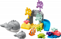 # 10972 LEGO® DUPLO Okeāna savvaļas dzīvnieki, 2+ gadi, 2022. gada modelis