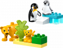 10442 LEGO® DUPLO Savvaļas dzīvnieku ģimenes: Pingvīni un lauvas, 2+ gadi, 2025 gada modelis